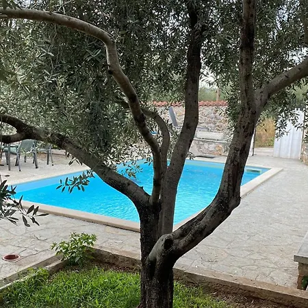 Robinzon House Bongo With Pool And Jacuzzi