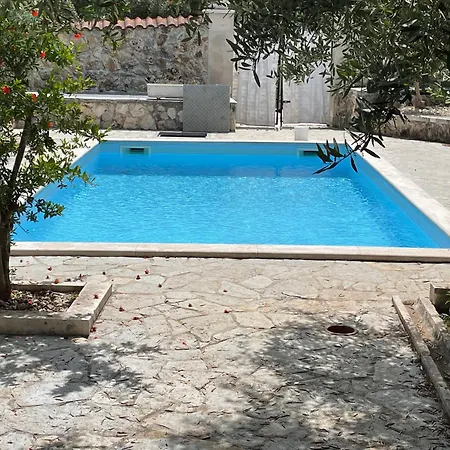Robinzon House Bongo With Pool And Jacuzzi * Ždrelac